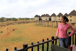 Salt Lick Lodge Safari